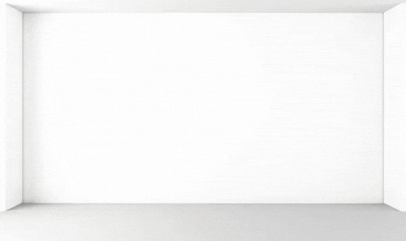 korpus contact image